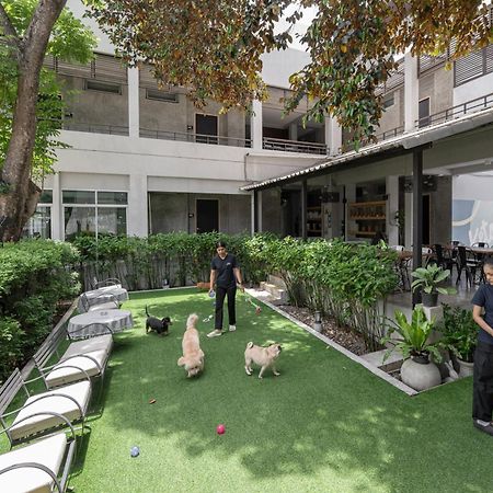 Ketawa Pet Friendly Hotel Chiang Mai Exterior photo