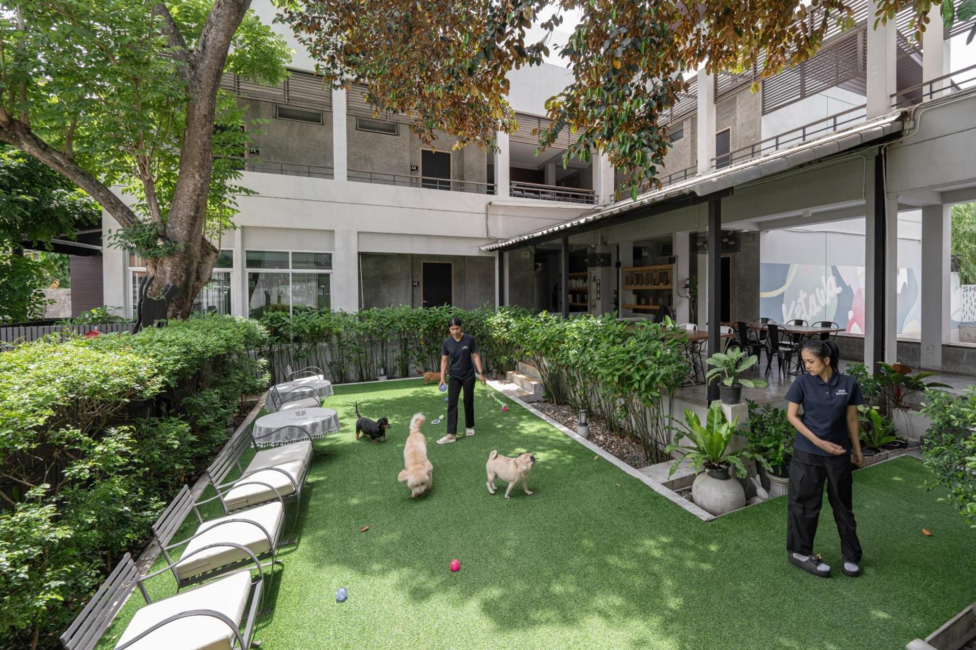 Ketawa Pet Friendly Hotel Chiang Mai Exterior photo