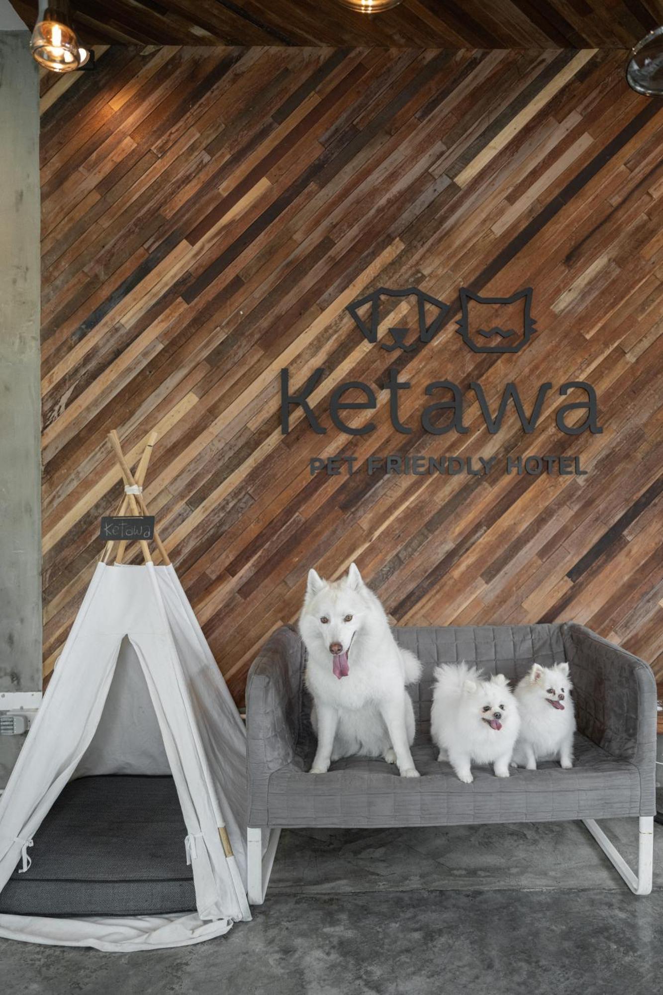 Ketawa Pet Friendly Hotel Chiang Mai Exterior photo